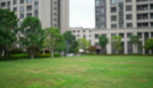 财税咨询在商务代理中的实际应用与性能考量